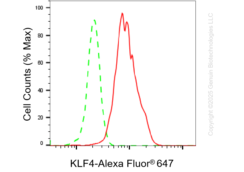 KD-Validated Anti-KLF4 Rabbit Monoclonal Antibody ABG1129