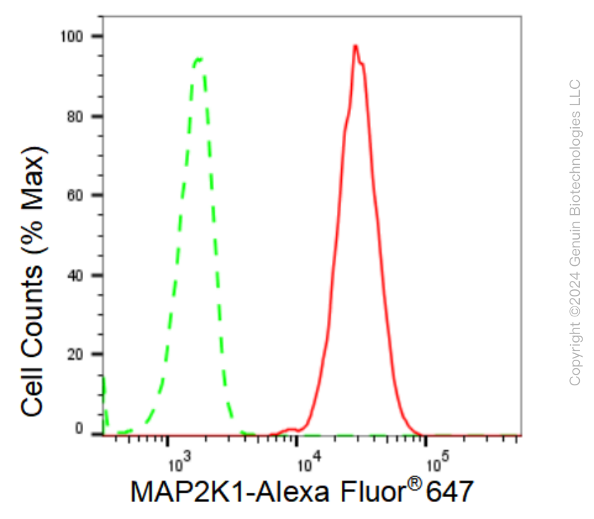 KD-Validated Anti-MAP2K1 Rabbit Monoclonal Antibody ABG1131