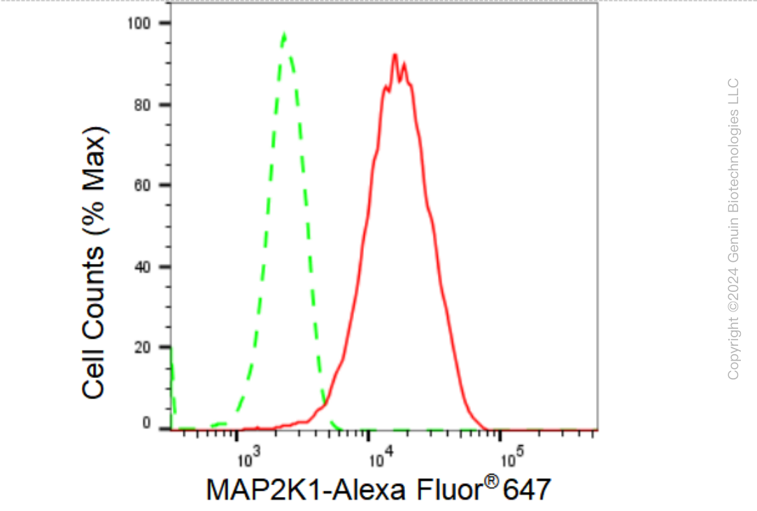 KD-Validated Anti-MAP2K1 Rabbit Monoclonal Antibody ABG1132