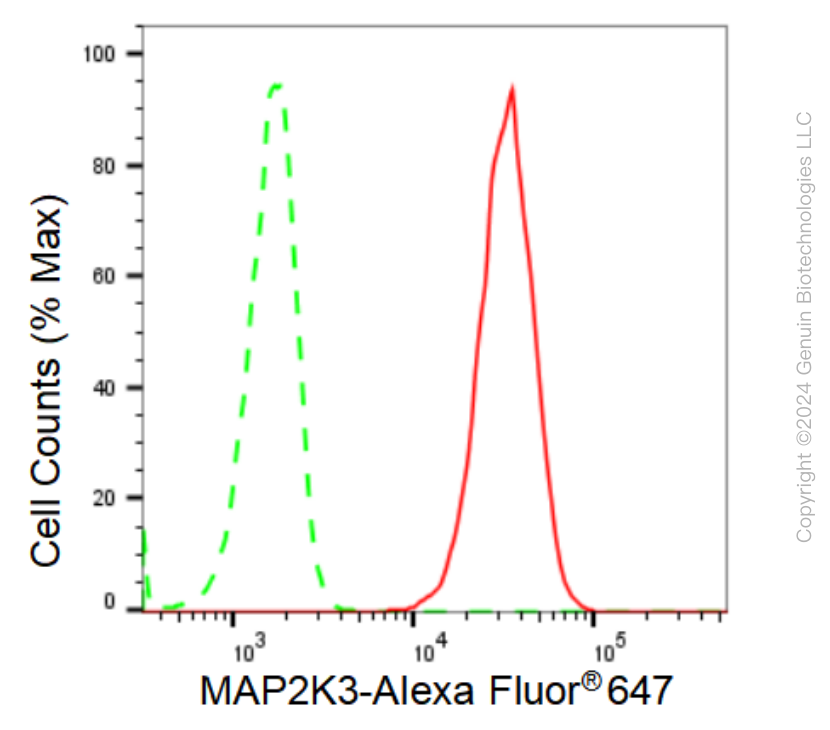 KD-Validated Anti-MAP2K3 Rabbit Monoclonal Antibody ABG1133