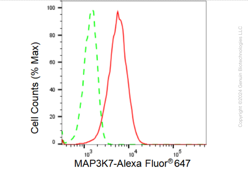 KD-Validated Anti-MAP3K7 Rabbit Monoclonal Antibody ABG1134