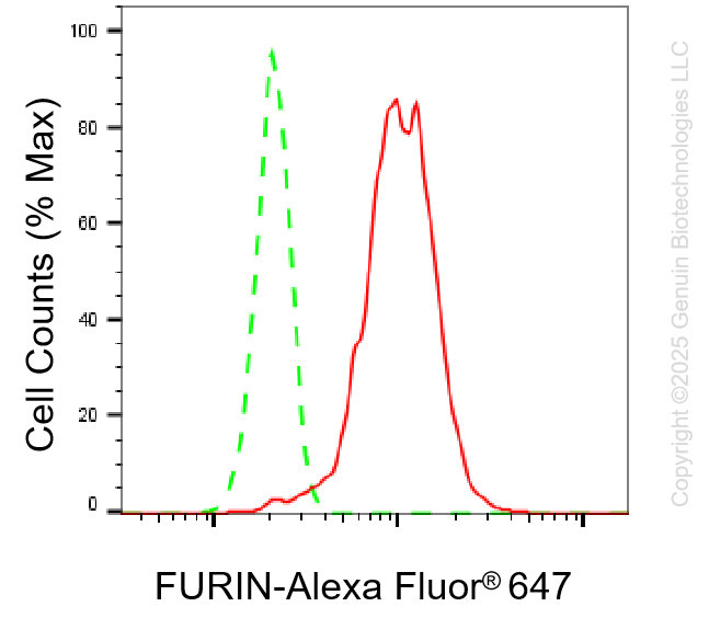 KD-Validated Anti-FURIN Rabbit Monoclonal Antibody ABG1136