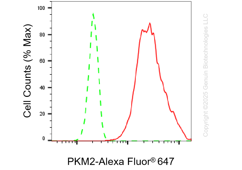 KD-Validated Anti-PKM2 Rabbit Monoclonal Antibody ABG1139