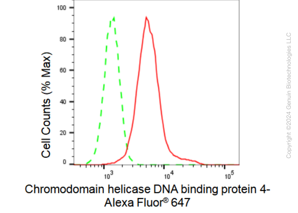KD-Validated Anti-Chromodomain helicase DNA binding 4 Rabbit Monoclonal Antibody ABG1145