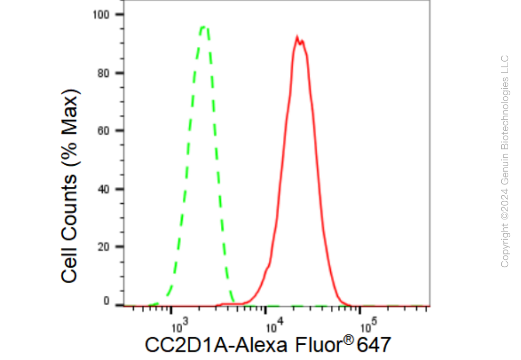 KD-Validated Anti-CC2D1A Rabbit Monoclonal Antibody ABG1147