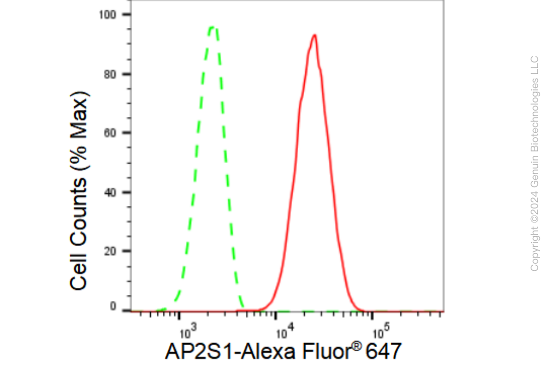 KD-Validated Anti-AP2S1 Rabbit Monoclonal Antibody ABG1149