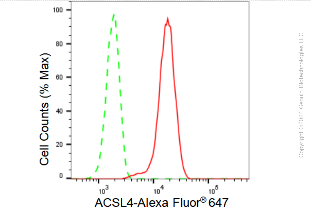 KD-Validated Anti-ACSL4 Rabbit Monoclonal Antibody ABG1150