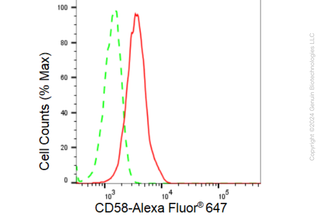 KD-Validated Anti-CD58 Rabbit Monoclonal Antibody ABG1152