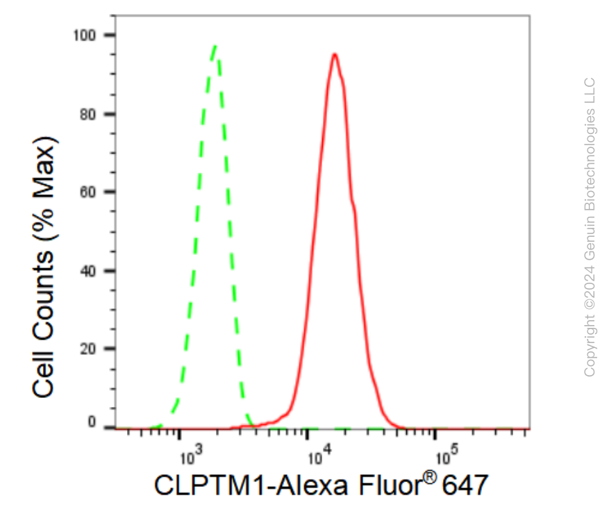 KD-Validated Anti-CLPTM1 Rabbit Monoclonal Antibody ABG1155