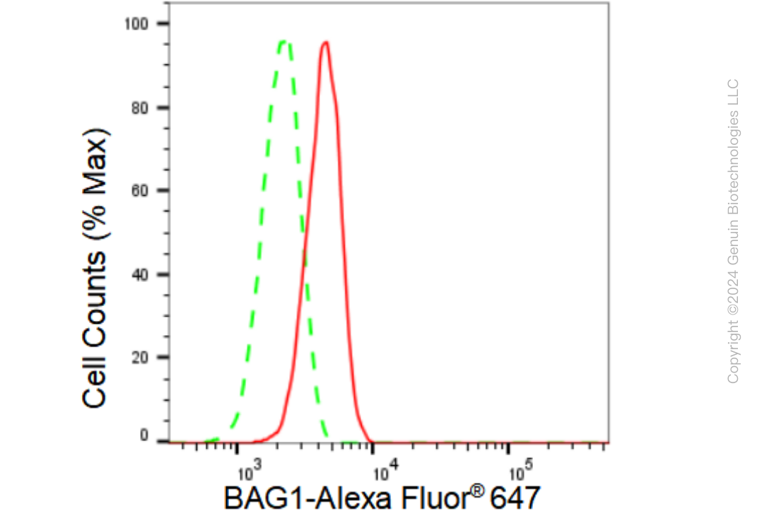 KD-Validated Anti-BAG1 Rabbit Monoclonal Antibody ABG1156