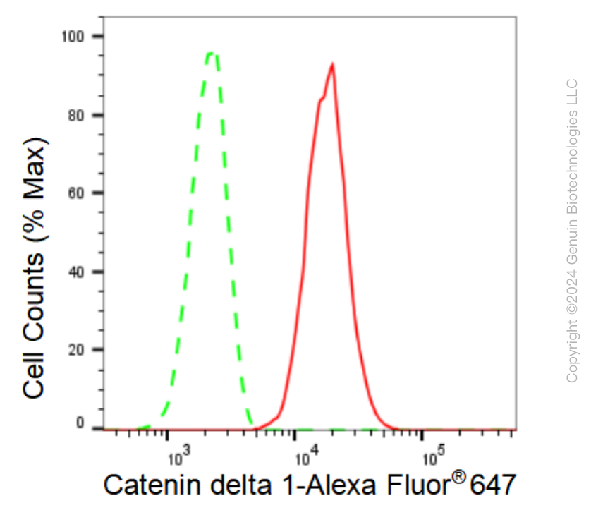 KD-Validated Anti-Catenin delta 1 Rabbit Monoclonal Antibody ABG1161