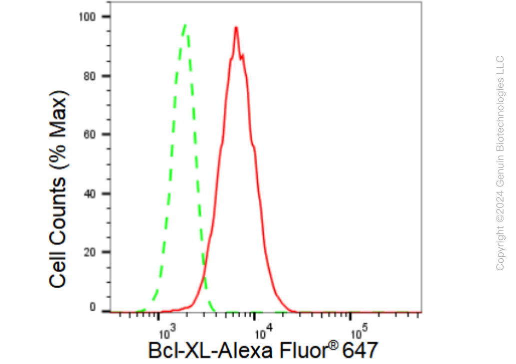 KD-Validated Anti-Bcl-XL Rabbit Monoclonal Antibody ABG1163