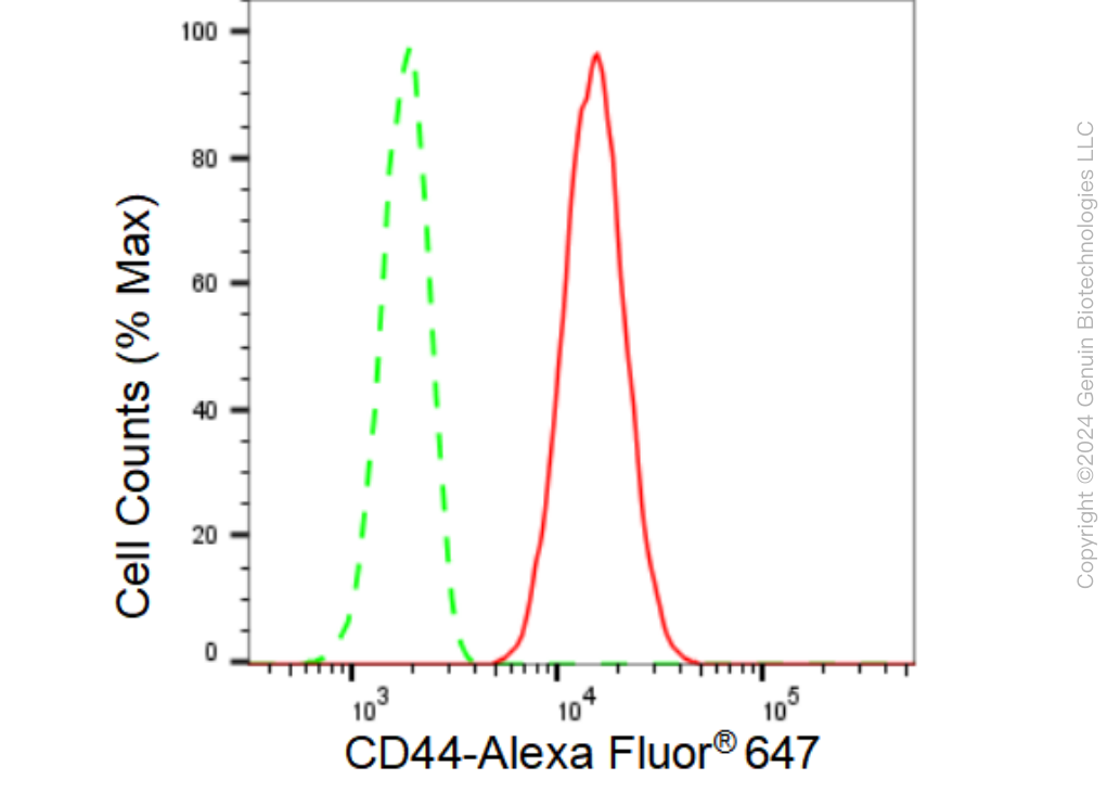 KD-Validated Anti-CD44 Rabbit Monoclonal Antibody ABG1164