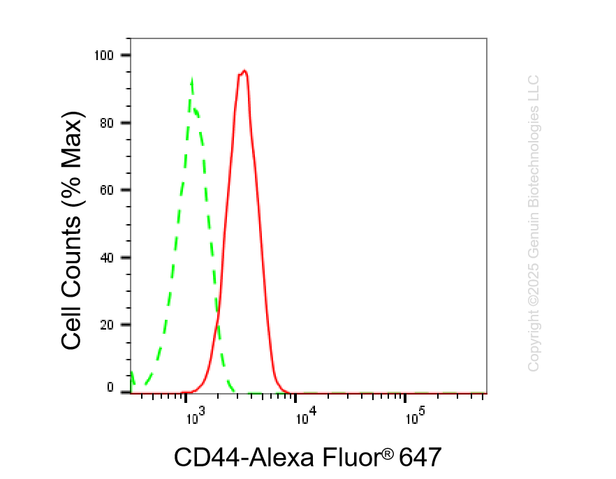 KD-Validated Anti-CD44 Rabbit Monoclonal Antibody ABG1165