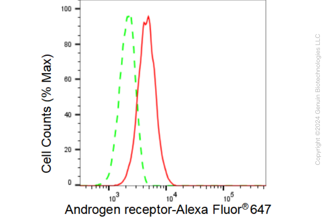 KD-Validated Anti-Androgen receptor Rabbit Monoclonal Antibody ABG1169