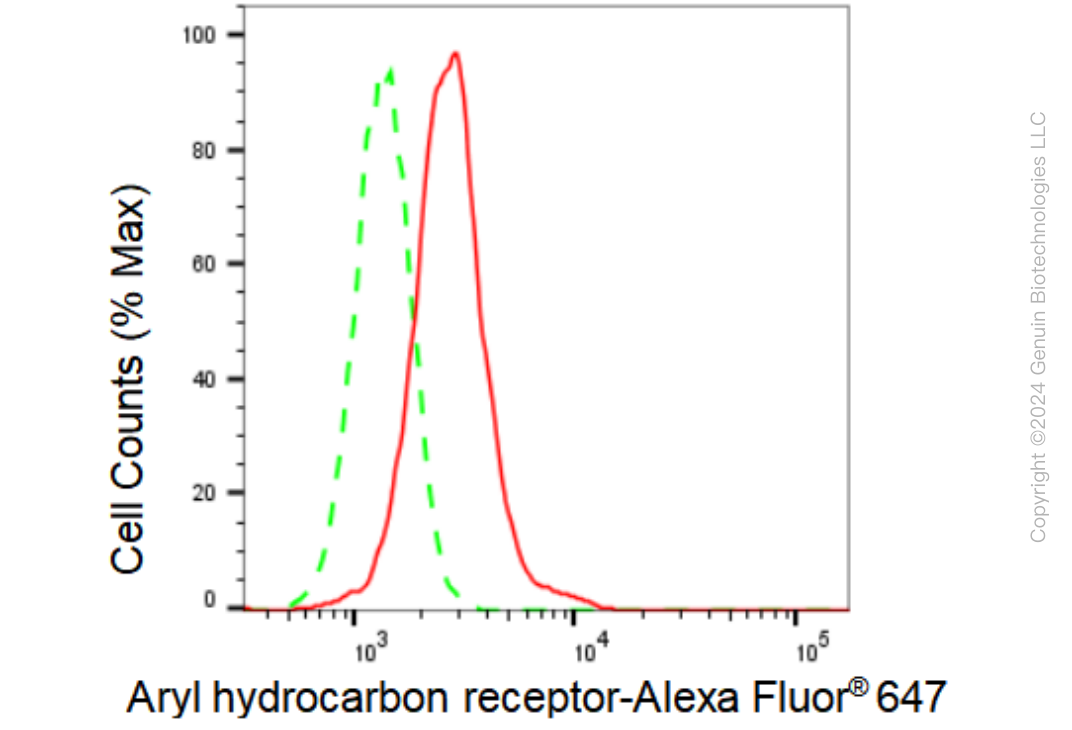 KD-Validated Anti-Aryl hydrocarbon receptor Rabbit Monoclonal Antibody ABG1170