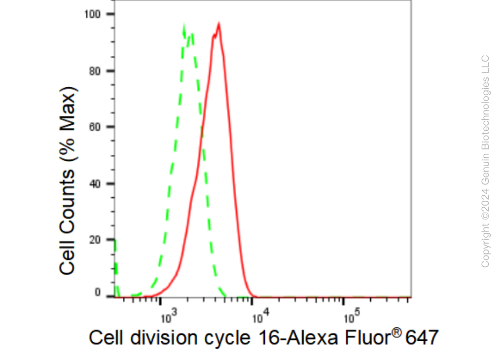 KD-Validated Anti-Cell division cycle 16 Rabbit Monoclonal Antibody ABG1173
