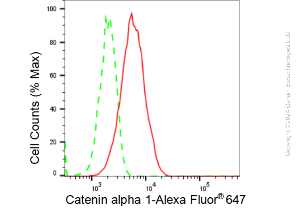 KD-Validated Anti-Catenin alpha 1 Rabbit Monoclonal Antibody ABG1177