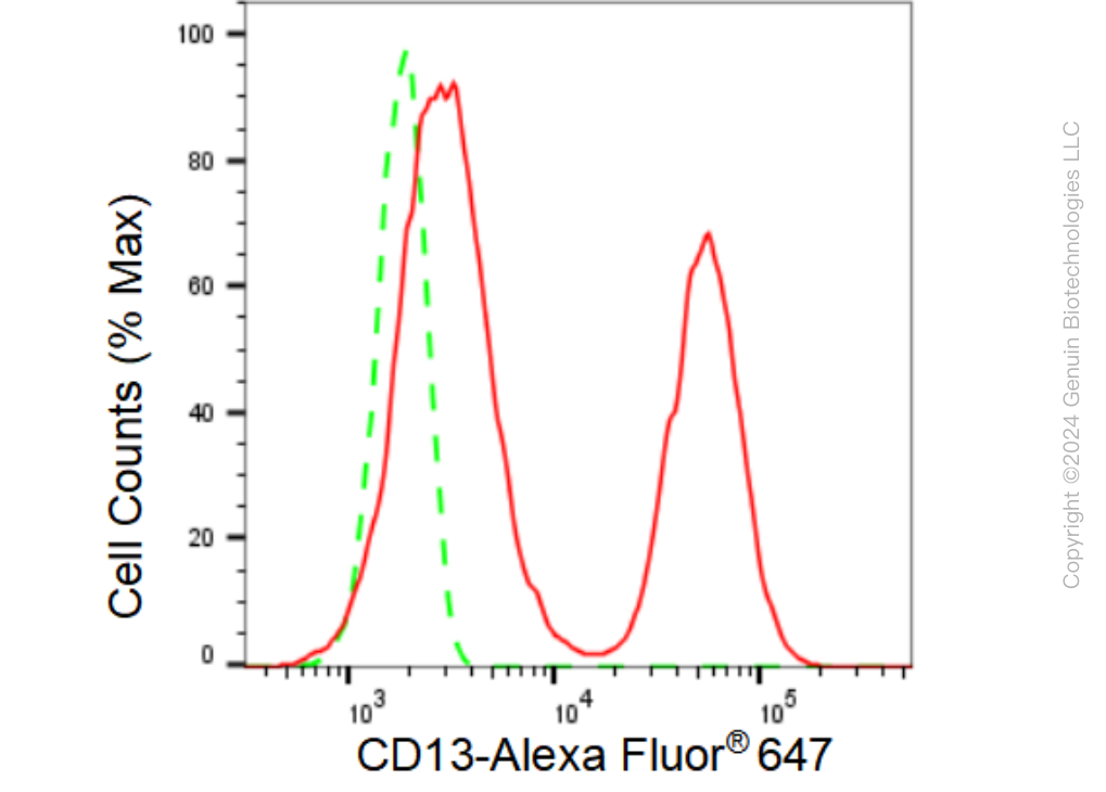 KD-Validated Anti-CD13 Rabbit Monoclonal Antibody ABG1179