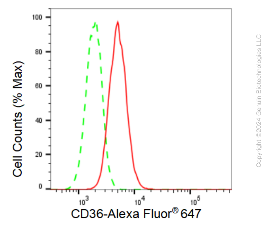 KD-Validated Anti-CD36 Rabbit Monoclonal Antibody ABG1182