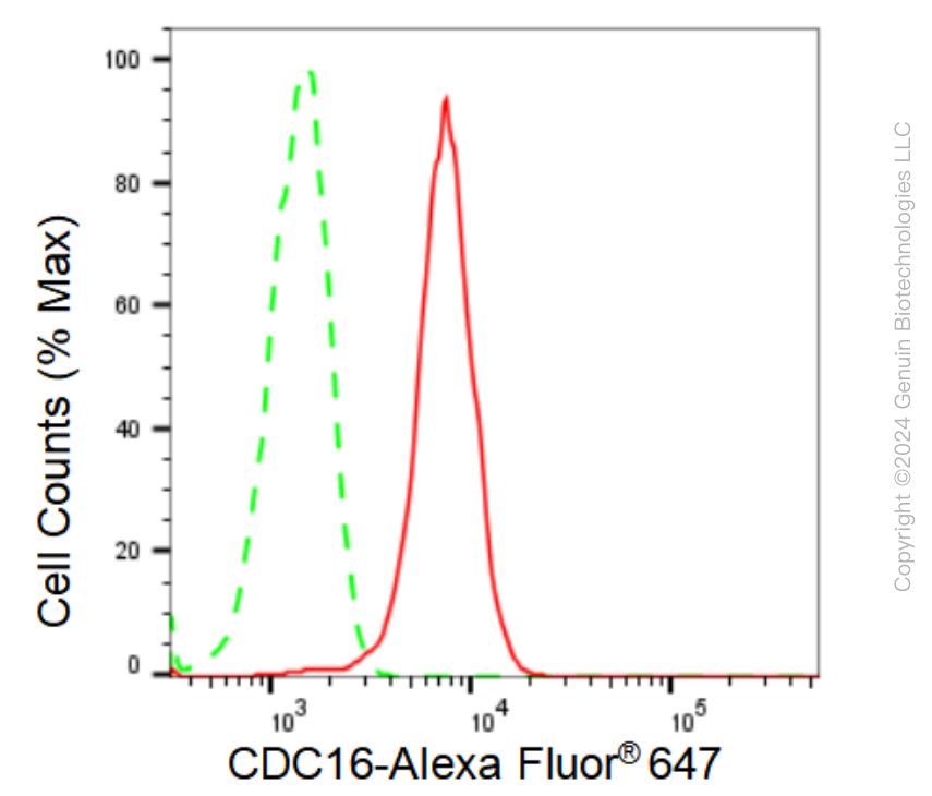 KD-Validated Anti-CDC16 Rabbit Monoclonal Antibody ABG1185