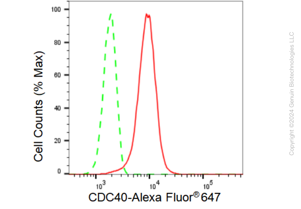 KD-Validated Anti-CDC40 Rabbit Monoclonal Antibody ABG1186