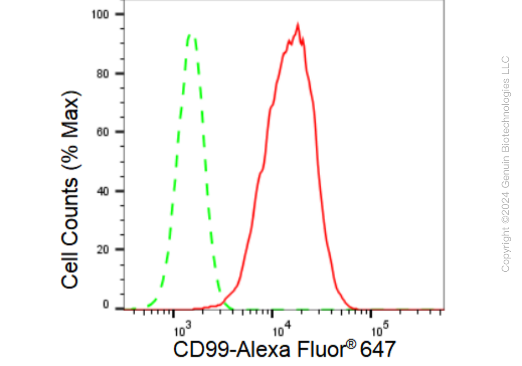 KD-Validated Anti-CD99 Rabbit Monoclonal Antibody ABG1188
