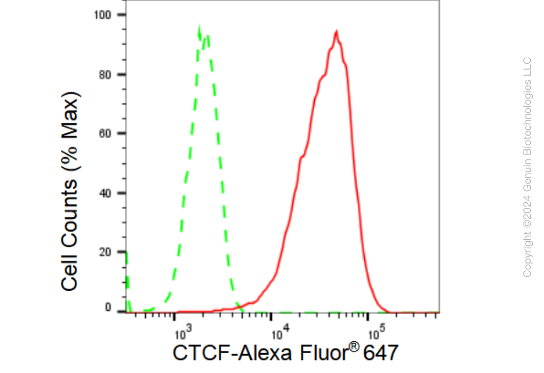 KD-Validated Anti-CTCF Rabbit Monoclonal Antibody ABG1192