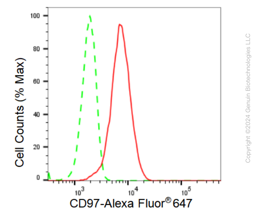 KD-Validated Anti-CD97 Rabbit Monoclonal Antibody ABG1198