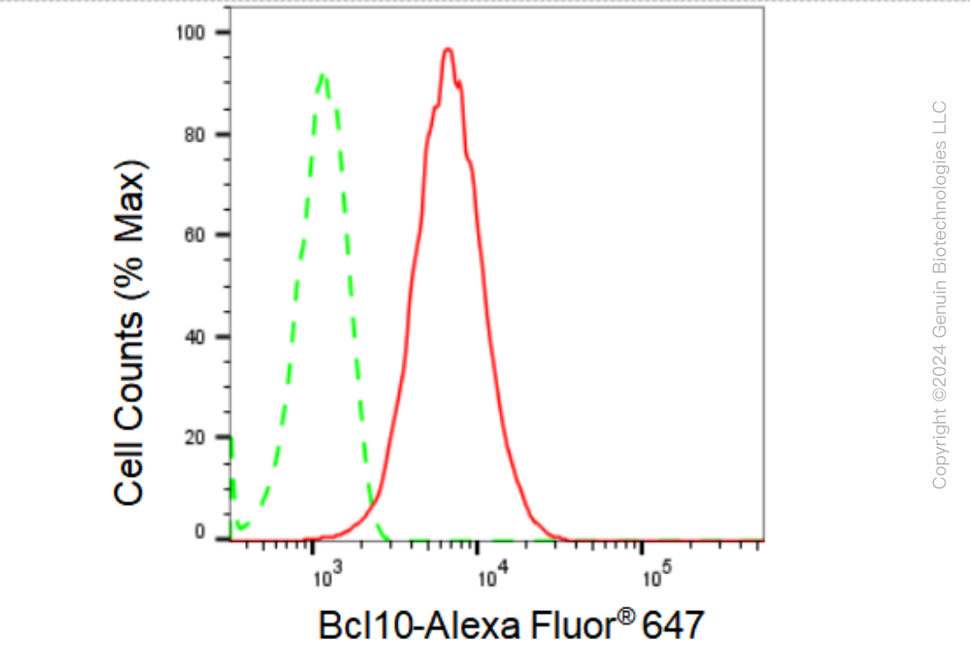 KD-Validated Anti-Bcl10 Rabbit Monoclonal Antibody ABG1204