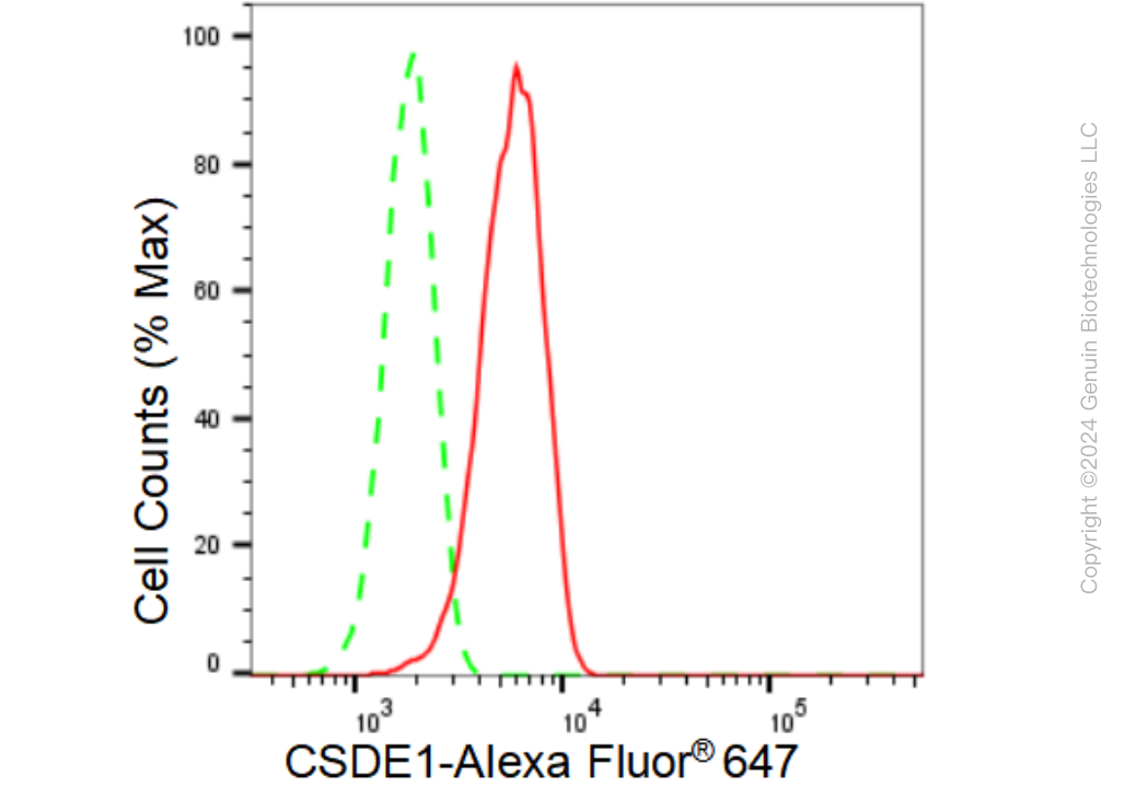 KD-Validated Anti-CSDE1 Rabbit Monoclonal Antibody ABG1205