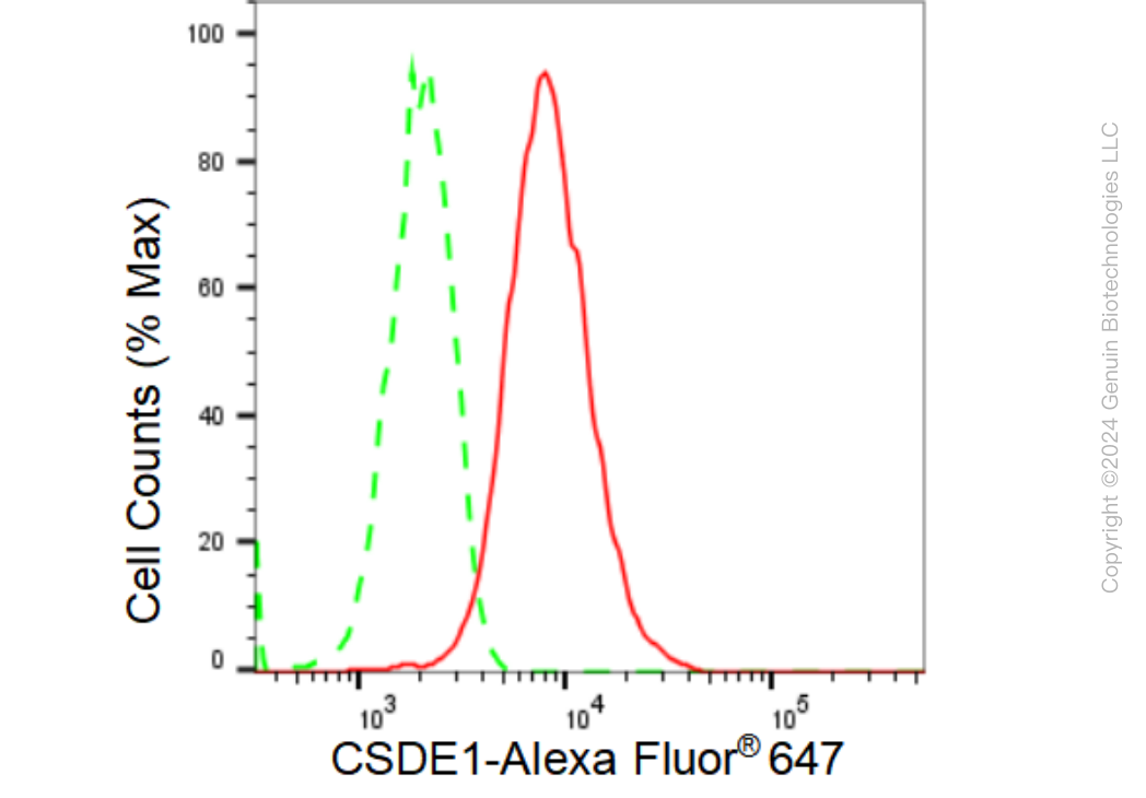 KD-Validated Anti-CSDE1 Rabbit Monoclonal Antibody ABG1206