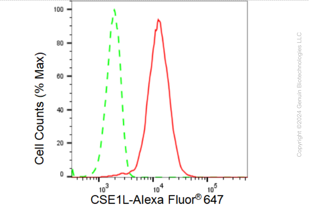 KD-Validated Anti-CSE1L Rabbit Monoclonal Antibody ABG1208