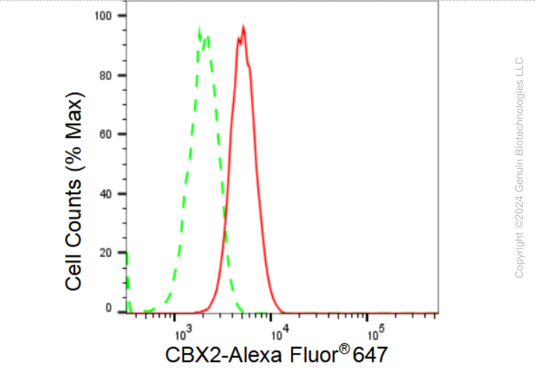KD-Validated Anti-CBX2 Rabbit Monoclonal Antibody ABG1210