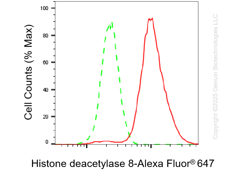 KD-Validated Anti-Histone deacetylase 8 Rabbit Monoclonal Antibody ABG1211