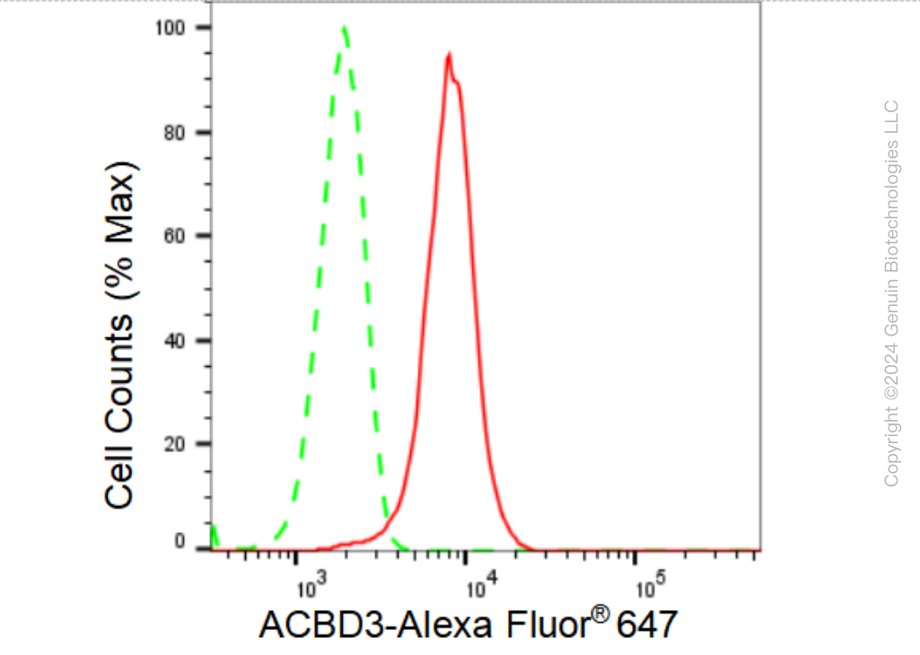 KD-Validated Anti-ACBD3 Rabbit Monoclonal Antibody ABG1215