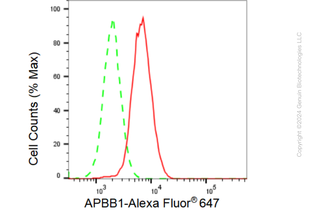 KD-Validated Anti-APBB1 Rabbit Monoclonal Antibody ABG1220
