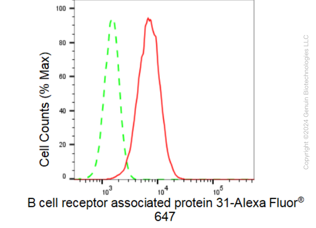 KD-Validated Anti-B cell receptor associated protein 31 Rabbit Monoclonal Antibody ABG1221
