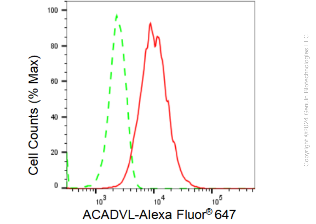 KD-Validated Anti-ACADVL Rabbit Monoclonal Antibody ABG1225