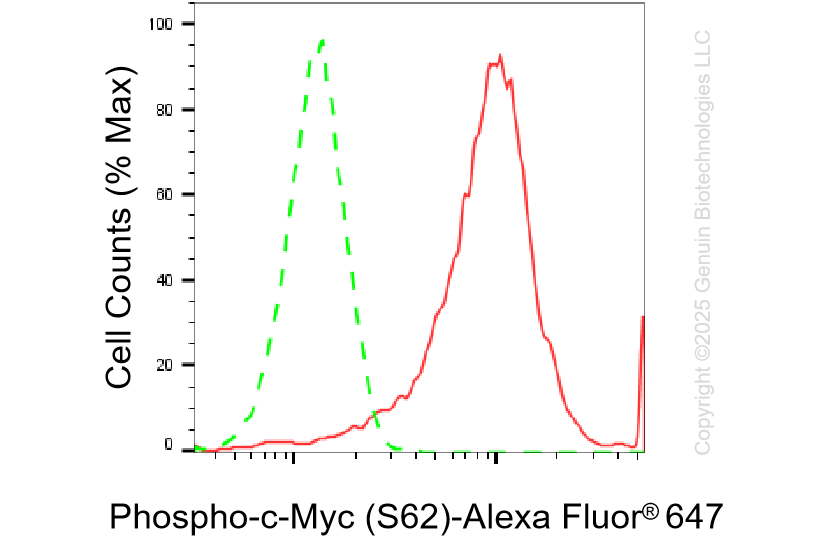 KD-Validated Anti-Phospho-c-Myc (S62) Rabbit Monoclonal Antibody ABG1228