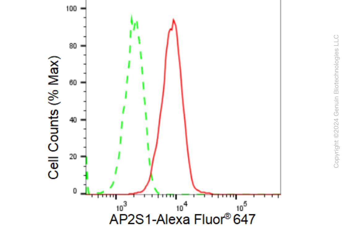 KD-Validated Anti-AP2S1 Rabbit Monoclonal Antibody ABG1229