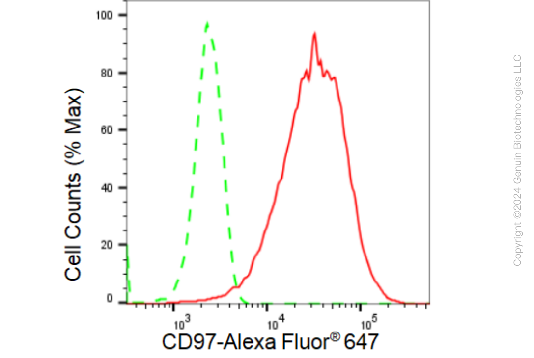 KD-Validated Anti-CD97 Rabbit Monoclonal Antibody ABG1231