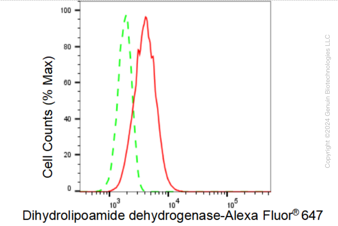 KD-Validated Anti-Dihydrolipoamide dehydrogenase Rabbit Monoclonal Antibody ABG1232