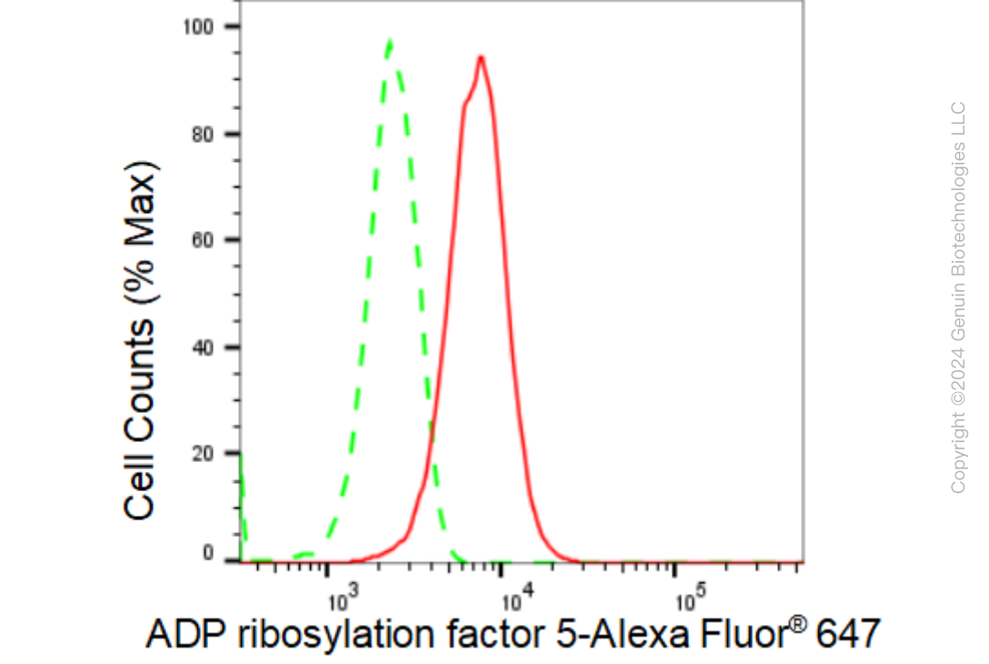 KD-Validated Anti-ADP ribosylation factor 5 Rabbit Monoclonal Antibody ABG1233