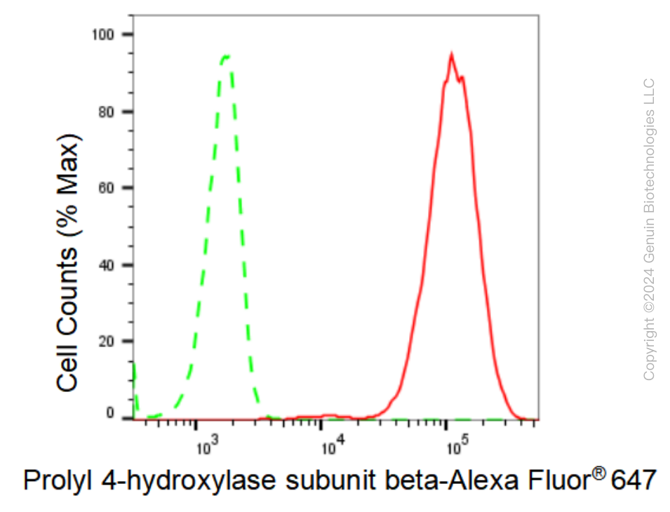 KD-Validated Anti-Prolyl 4-hydroxylase subunit beta Rabbit Monoclonal Antibody ABG1234