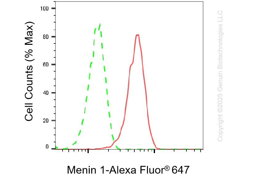KD-Validated Anti-Menin 1 Rabbit Monoclonal Antibody ABG1236