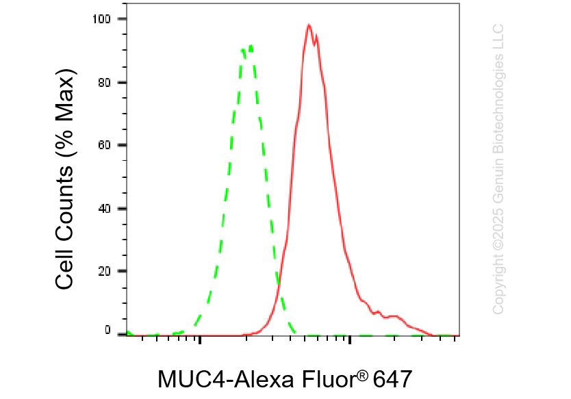 KD-Validated Anti-MUC4 Rabbit Monoclonal Antibody ABG1237