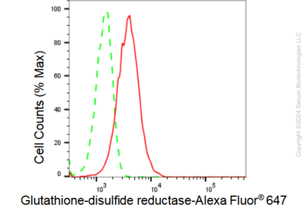 KD-Validated Anti-Glutathione-disulfide reductase Rabbit Monoclonal Antibody ABG1238