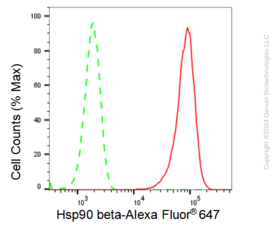 KD-Validated Anti-Hsp90 beta Rabbit Monoclonal Antibody ABG1241