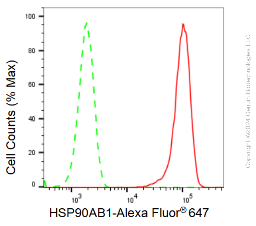 KD-Validated Anti-Hsp90 beta Rabbit Monoclonal Antibody ABG1242